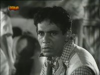 habib-tanvir