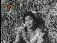 Shalini in SAKHI ROBIN
